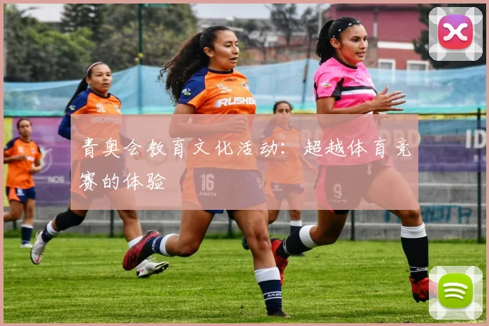 青奥会教育文化活动：超越体育竞赛的体验