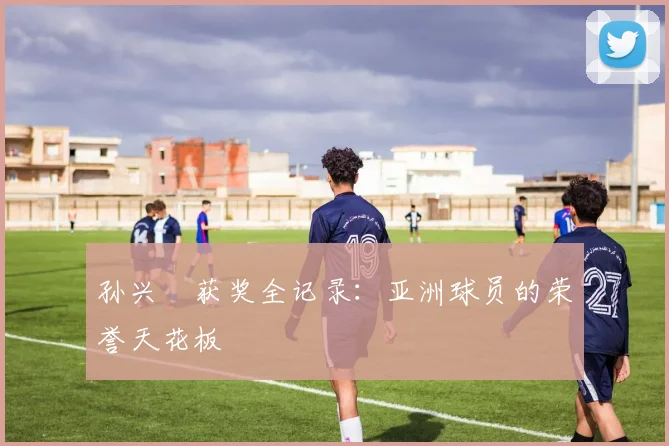 孙兴慜获奖全记录:亚洲球员的荣誉天花板