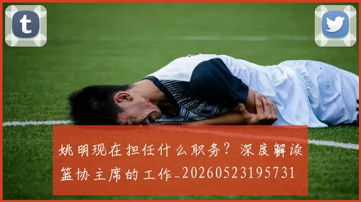 姚明现在担任什么职务?深度解读篮协主席的工作_20260523195731